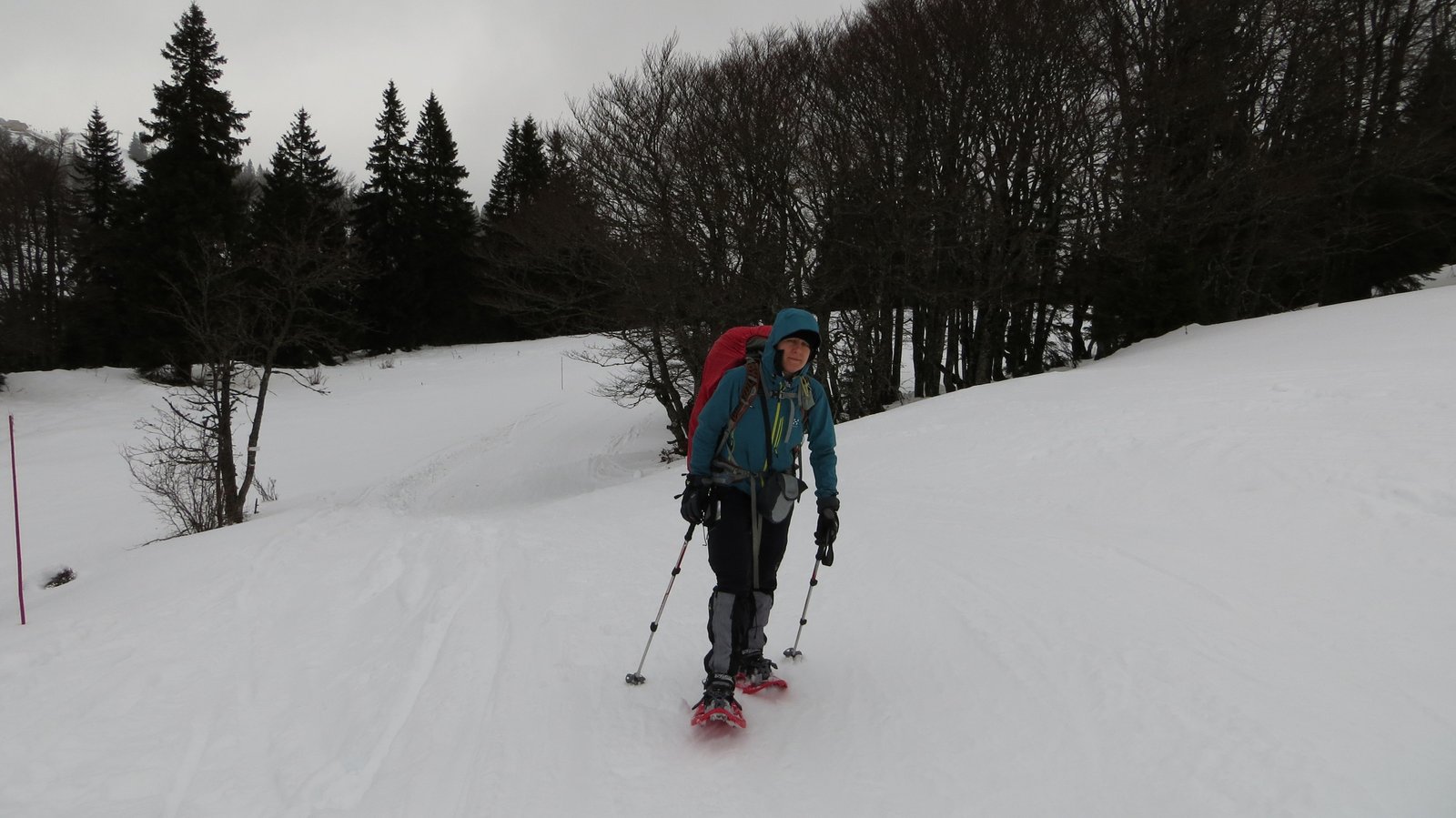 2-Winterwanderung durch die Französische Jura auf Schneeschuhen (1)