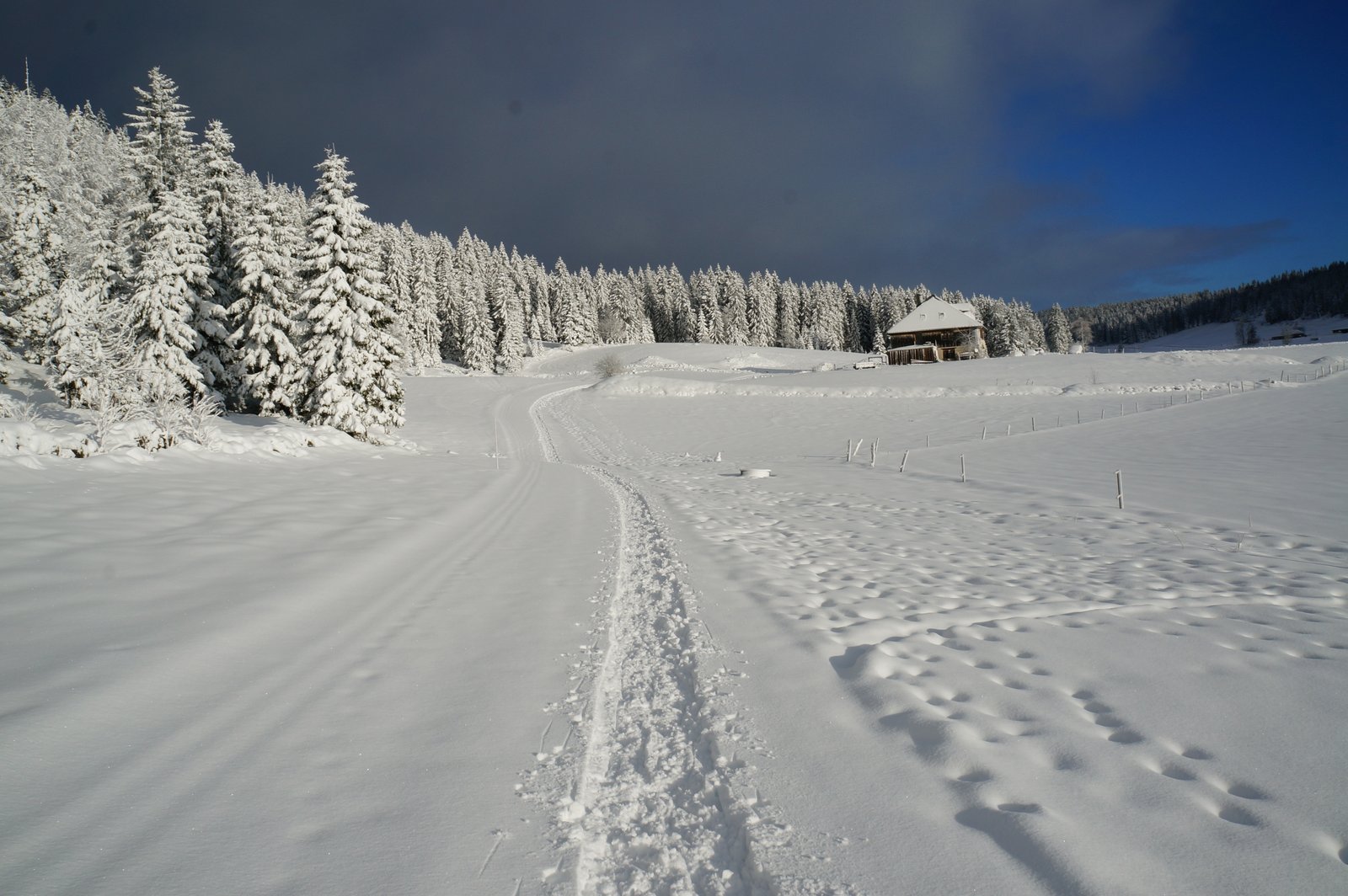 5-Winterwanderung durch die Französische Jura auf Schneeschuhen (10)
