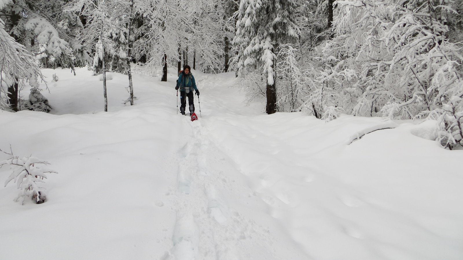 7-Winterwanderung durch die Französische Jura auf Schneeschuhen (12)