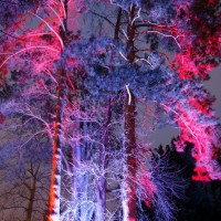 Winterlichter im Palmengarten Frankfurt