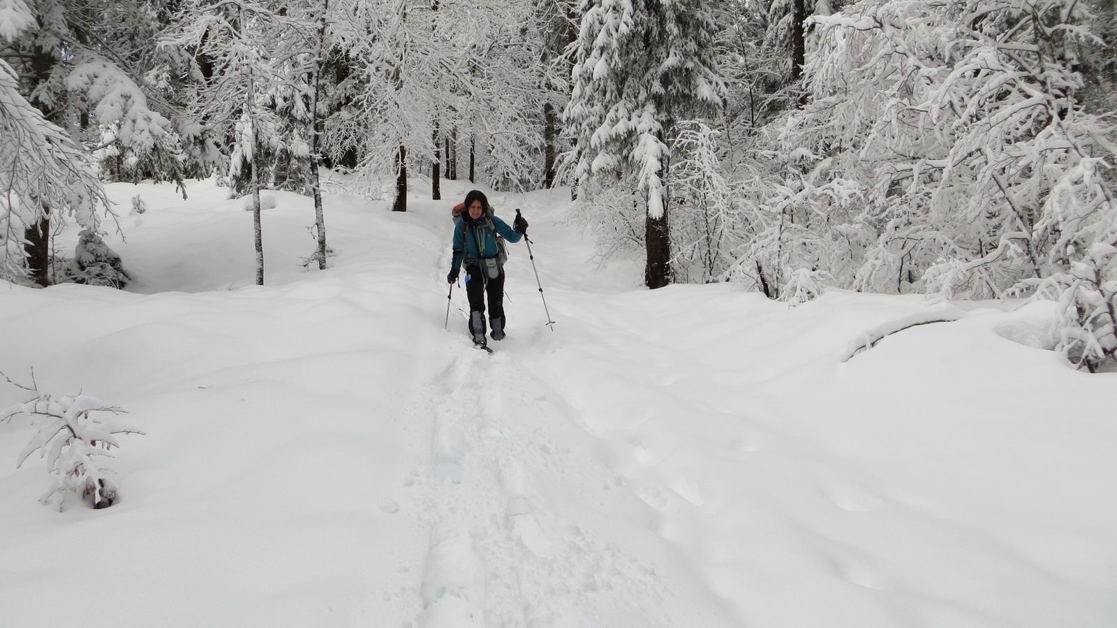 Winterwanderung auf Schneeschuhen Französische Jura 2014