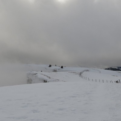 3-Winterwanderung durch die Französische Jura auf Schneeschuhen (2)