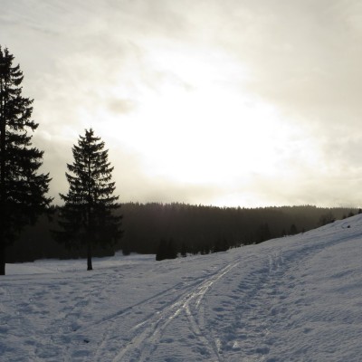 4-Winterwanderung durch die Französische Jura auf Schneeschuhen (3)