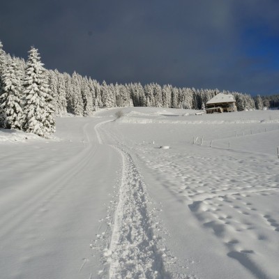 5-Winterwanderung durch die Französische Jura auf Schneeschuhen (10)