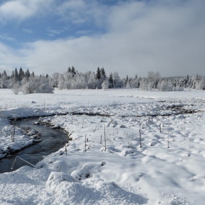 6-Winterwanderung durch die Französische Jura auf Schneeschuhen (11)