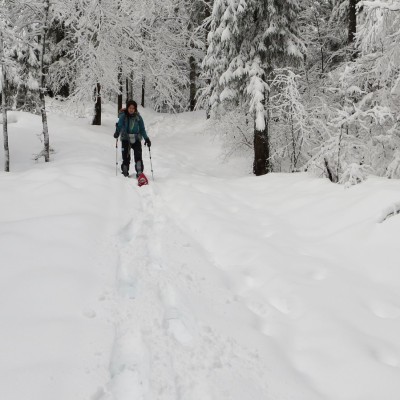 7-Winterwanderung durch die Französische Jura auf Schneeschuhen (12)
