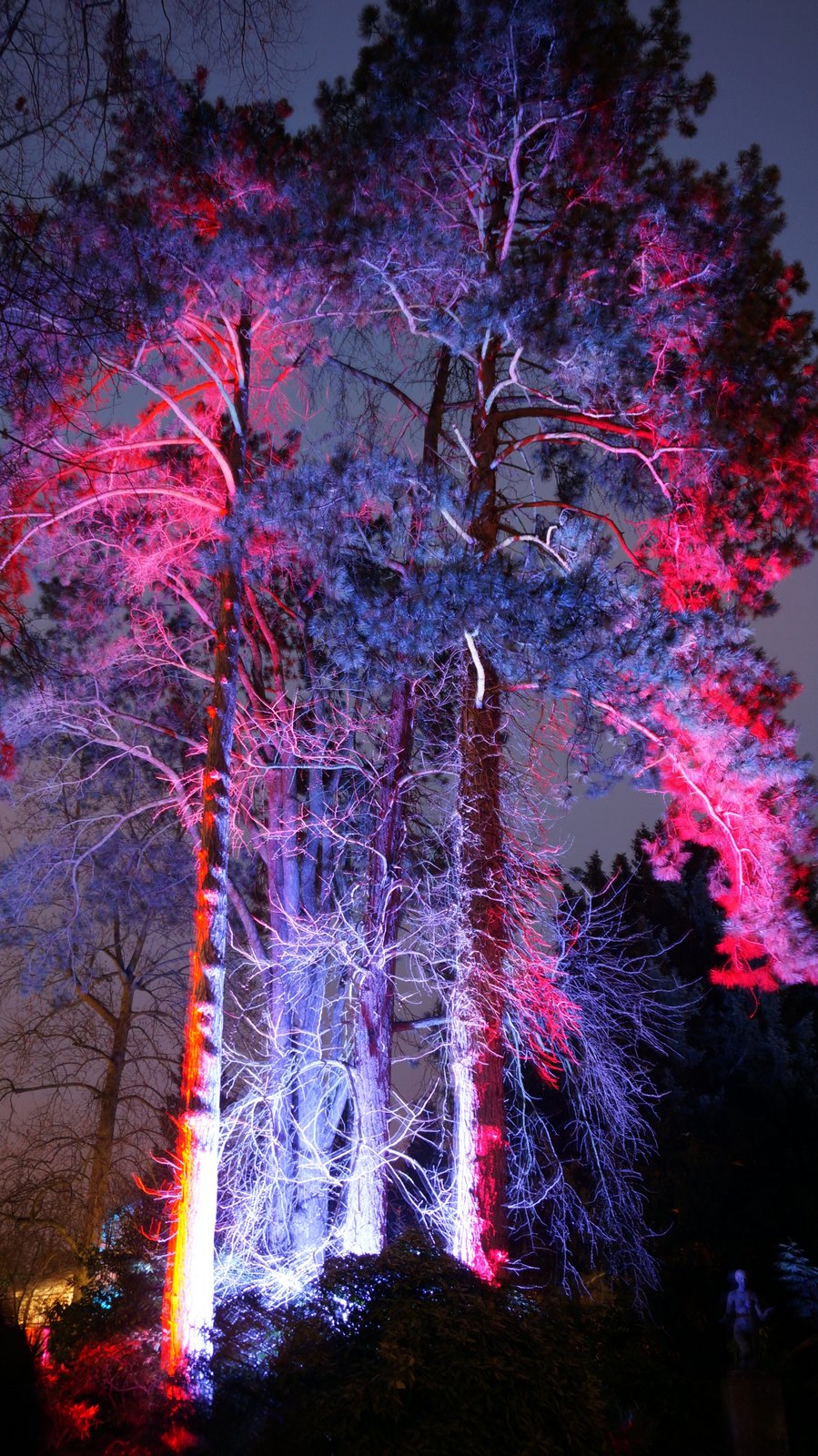 Winterlichter im Palmengarten Frankfurt