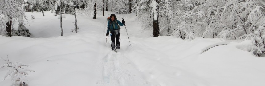 Winterwanderung auf Schneeschuhen Französische Jura 2014