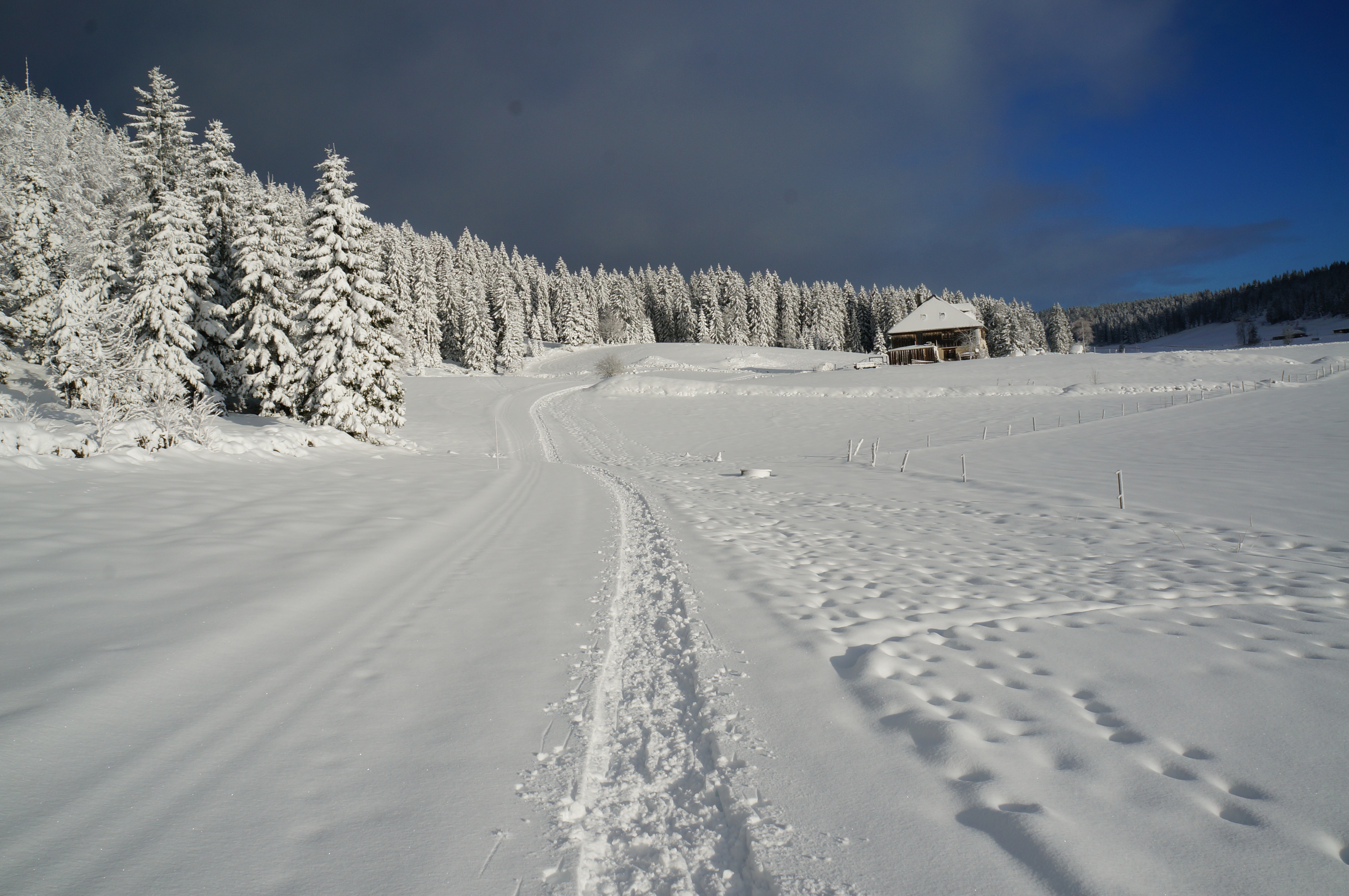 Winterwanderung durch die Französische Jura auf Schneeschuhen (10)