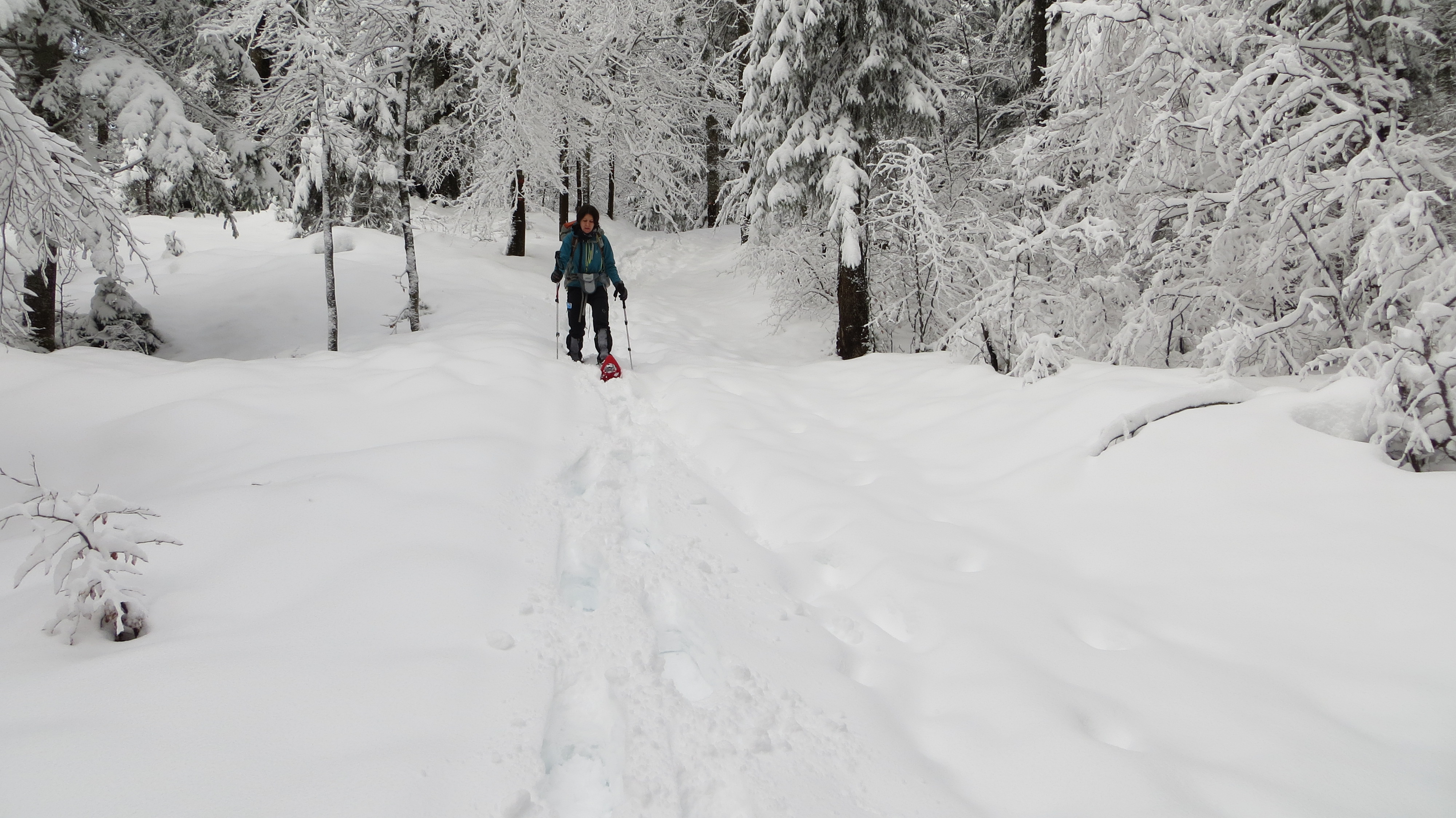 Winterwanderung durch die Französische Jura auf Schneeschuhen (12)